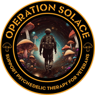 Operation Solace logo